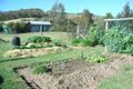 Property photo of 54 Zig Zag Road Beechworth VIC 3747
