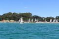 Property photo of 19 Half Moon Crescent Indented Head VIC 3223