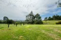 Property photo of 35 Orient Street Greta NSW 2334