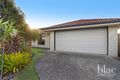 Property photo of 31 Alpine Street Bald Hills QLD 4036