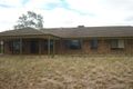 Property photo of 155 Basedow Road Tanunda SA 5352