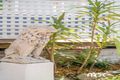 Property photo of 422 Lawrence Hargrave Drive Thirroul NSW 2515