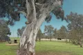 Property photo of 40 Donovans Way Mansfield VIC 3722