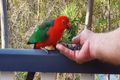 Property photo of 199 Lake Manchester Road Mount Crosby QLD 4306