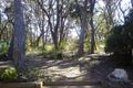 Property photo of 48 Fourth Avenue Katoomba NSW 2780