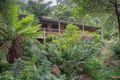 Property photo of 16 Dickens Road Olinda VIC 3788