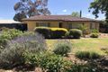 Property photo of 12 First Avenue Tanunda SA 5352