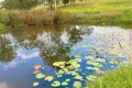 Property photo of 4411 Bruxner Highway Piora NSW 2470