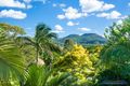Property photo of 1 Finley Road Eumundi QLD 4562