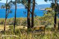 Property photo of LOT 3 Bruny Island Main Road Dennes Point TAS 7150