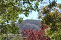 Property photo of 40 Donaldson Street Braddon ACT 2612