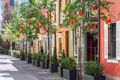 Property photo of 402/85 O'Connor Street Chippendale NSW 2008