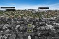 Property photo of 300 George Street Doncaster VIC 3108