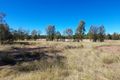 Property photo of 263 Montrose Road Montrose QLD 4413