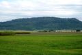 Property photo of 64 Griffiths Drive Pleystowe QLD 4741
