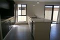 Property photo of 62 Tea Trees Avenue Springfield Lakes QLD 4300