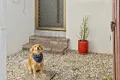 Property photo of 8/5 Aquila Court Mermaid Waters QLD 4218