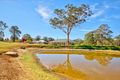 Property photo of 152 Lyrebird Road Pheasants Nest NSW 2574
