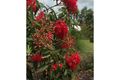 Property photo of 51 Harmony Drive Clinton QLD 4680