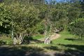 Property photo of 156 Pacey Road Upper Brookfield QLD 4069
