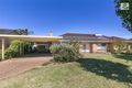 Property photo of 6 Allendale Avenue Novar Gardens SA 5040