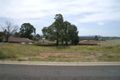 Property photo of 14 Edinglassie Drive Muswellbrook NSW 2333