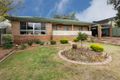 Property photo of 44 Glencoe Street Kennington VIC 3550