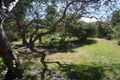 Property photo of 183 Great Ocean Road Anglesea VIC 3230