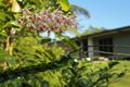 Property photo of 581R Whyanbeel Road Whyanbeel QLD 4873