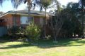 Property photo of 15 Osborn Avenue Muswellbrook NSW 2333