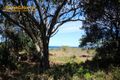 Property photo of 45 Elanora Avenue Pottsville NSW 2489