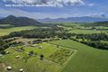 Property photo of 527 Mount Peter Road Mount Peter QLD 4869