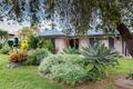 Property photo of 20 Evergreen Street Bracken Ridge QLD 4017