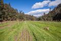 Property photo of 988 Pelverata Road Pelverata TAS 7150