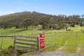 Property photo of 328 Middle Tea Tree Road Richmond TAS 7025
