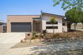 Property photo of 41 Louisa Briggs Circuit Bonner ACT 2914