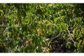 Property photo of 18 Albany Highway Mount Barker WA 6324