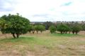 Property photo of 102 Robinson Street Gingin WA 6503