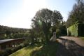 Property photo of 8 Louis Court Newtown VIC 3220