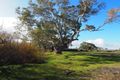 Property photo of 251 Starr Road Wall Flat SA 5254