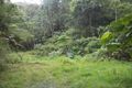 Property photo of 19R Zena Close Cape Tribulation QLD 4873