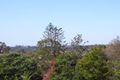 Property photo of 45 Mozart Place Mount Ommaney QLD 4074
