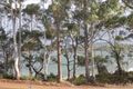 Property photo of 53 Williams Road Randalls Bay TAS 7112