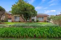 Property photo of 31 Coolabah Road Medowie NSW 2318