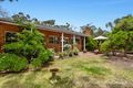 Property photo of 23 Marcus Road Frankston South VIC 3199