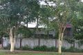Property photo of 6 Erinvale Street Corinda QLD 4075