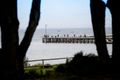 Property photo of 490 The Esplanade St Leonards VIC 3223