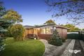 Property photo of 34 Norfolk Crescent Bundoora VIC 3083