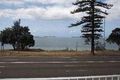 Property photo of 8/46-48 The Grand Parade Brighton-Le-Sands NSW 2216
