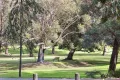 Property photo of 9/22 Cunningham Terrace Daglish WA 6008